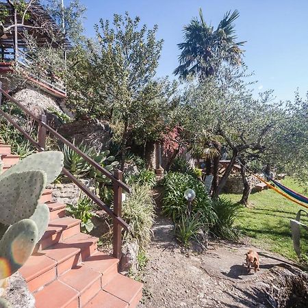 La Fattoria Di Nonna Eugenia Bed & Breakfast Lerici Eksteriør bilde