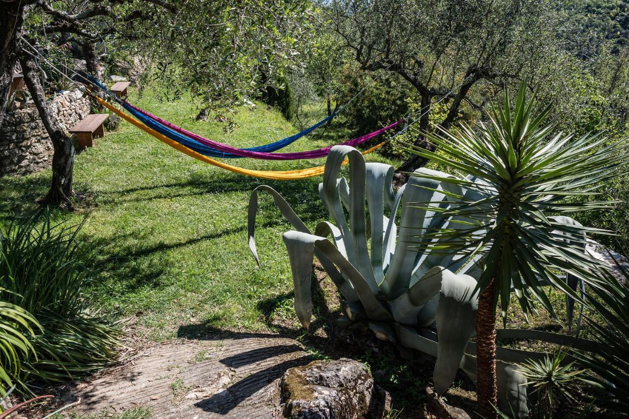 La Fattoria Di Nonna Eugenia Bed & Breakfast Lerici Eksteriør bilde